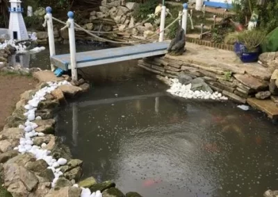 SJ Koi Carp Pond Builds