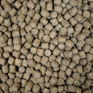 NT Labs Medikoi – probiotic Mutiseason Growth 6mm 10KG