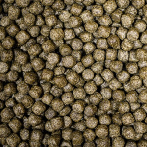 NT Labs Medikoi – Staple With Colour 6mm 10KG