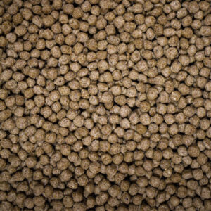 NT Labs Medikoi – Wheatgerm With Garlic 6mm 5KG