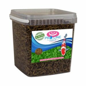 Pro-Line Aqua-BSF (black Soldier Fly) Larvae 2.5ltr / 400g